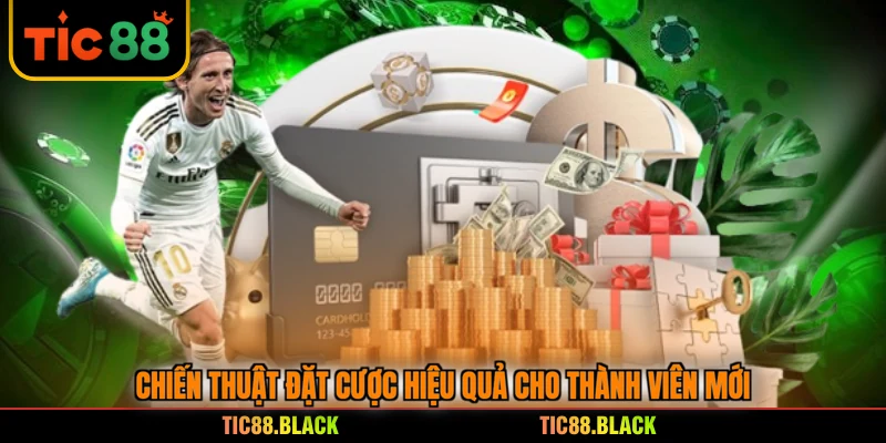 Chiến thuật đặt cược hiệu quả cho thành viên mới