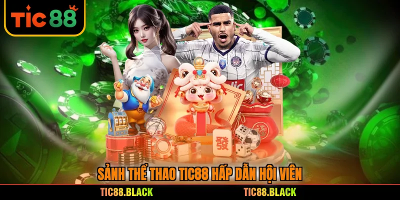 Sảnh thể thao TIC88 hấp dẫn hội viên