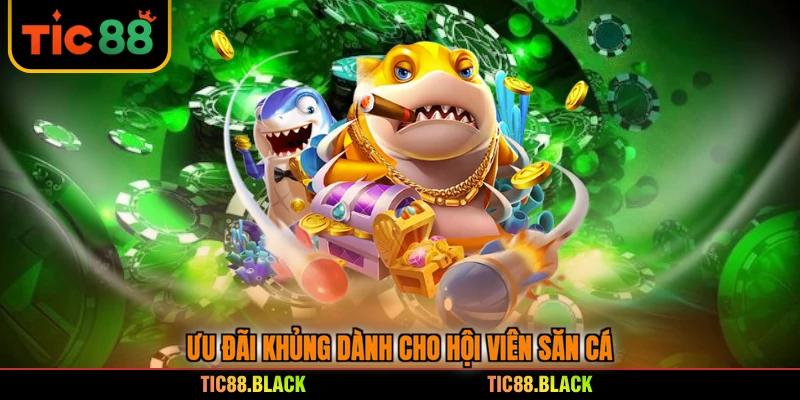 Ưu đãi khủng dành cho hội viên săn cá